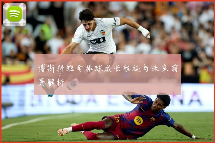 博斯科维奇排球成长轨迹与未来前景解析