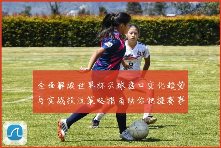 全面解读世界杯买球盘口变化趋势与实战投注策略指南助你把握赛事