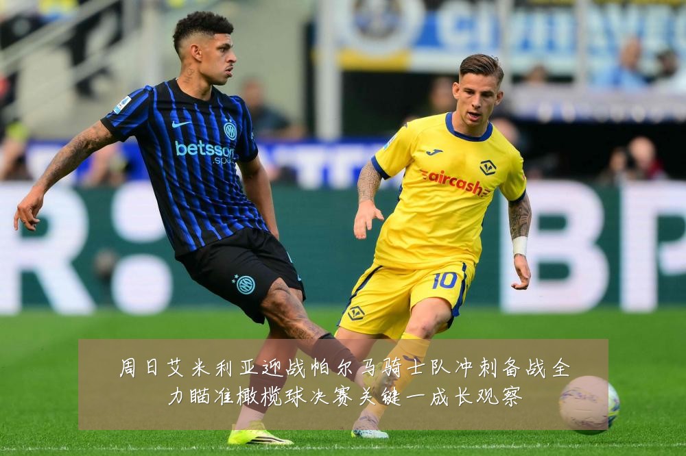 周日艾米利亚迎战帕尔马骑士队冲刺备战全力瞄准橄榄球决赛关键一成长观察