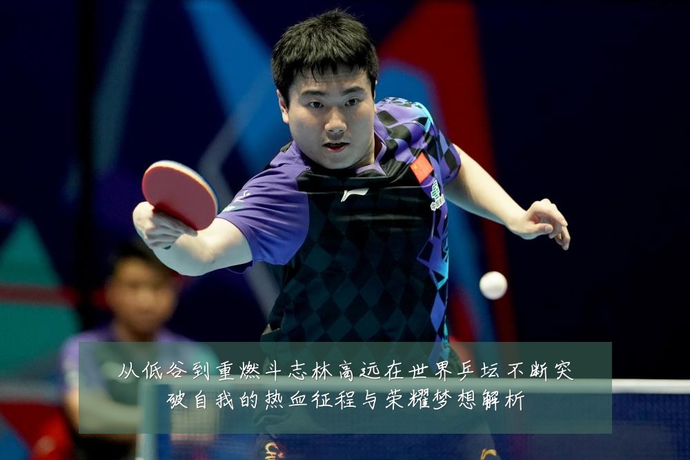 从低谷到重燃斗志林高远在世界乒坛不断突破自我的热血征程与荣耀梦想解析